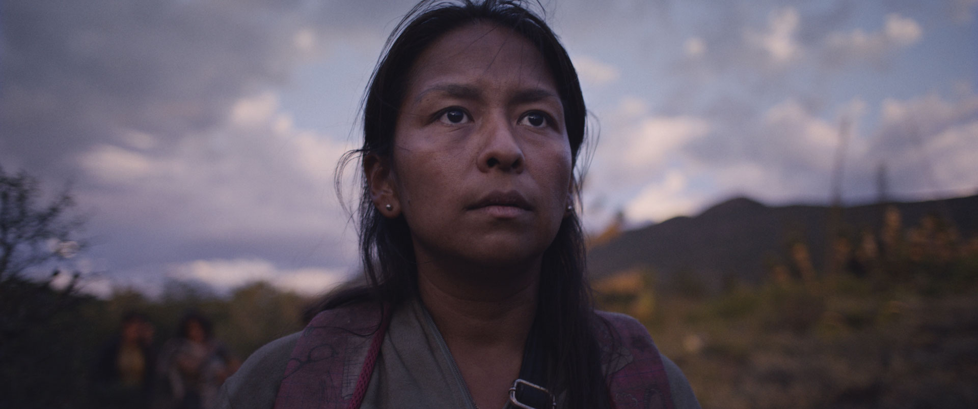 A woman stands outdoors against a dramatic sky, with mountains and distant figures walking in a natural landscape at dusk.