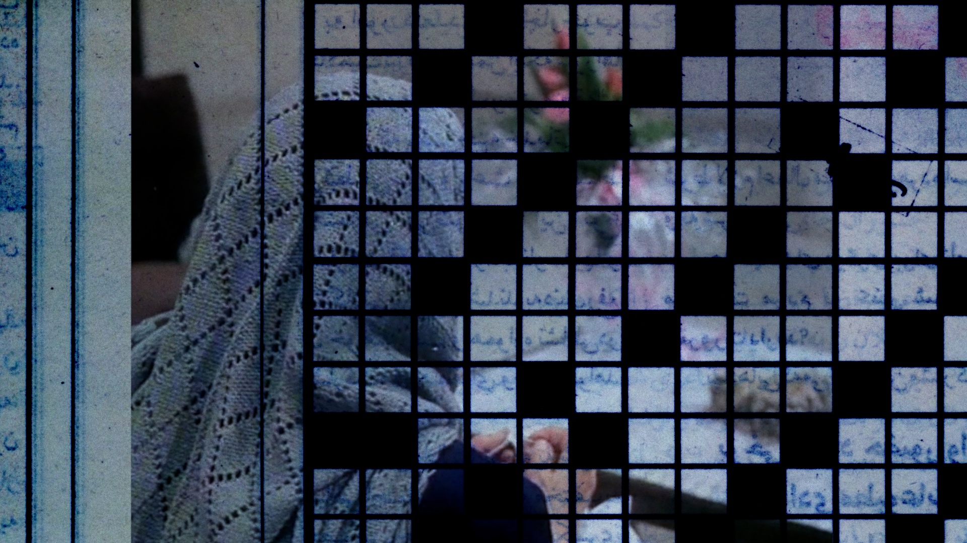 A partially obscured woman's face, wrapped in a lace veil, framed by a grid of faded text and blurred floral background.