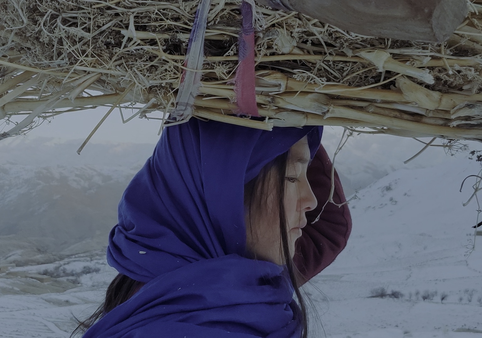 A person wearing a purple shawl carries a heavy bundle of dried grass atop their head, surrounded by a snowy mountainous landscape